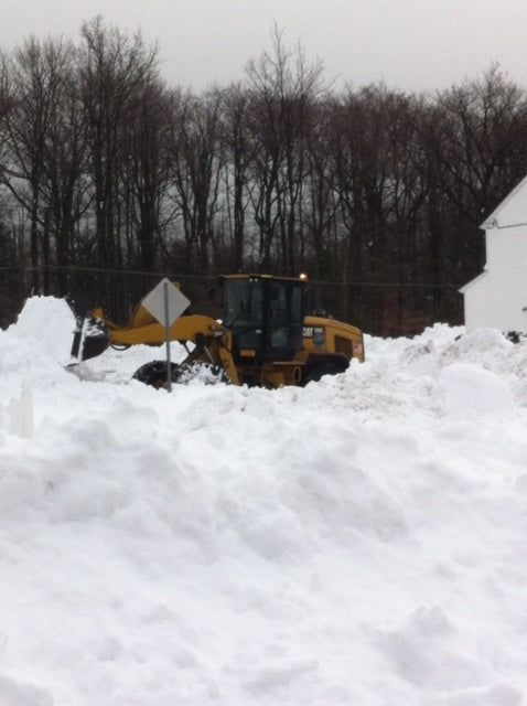 Toilet Paper, Clorox wipes, and Chicken