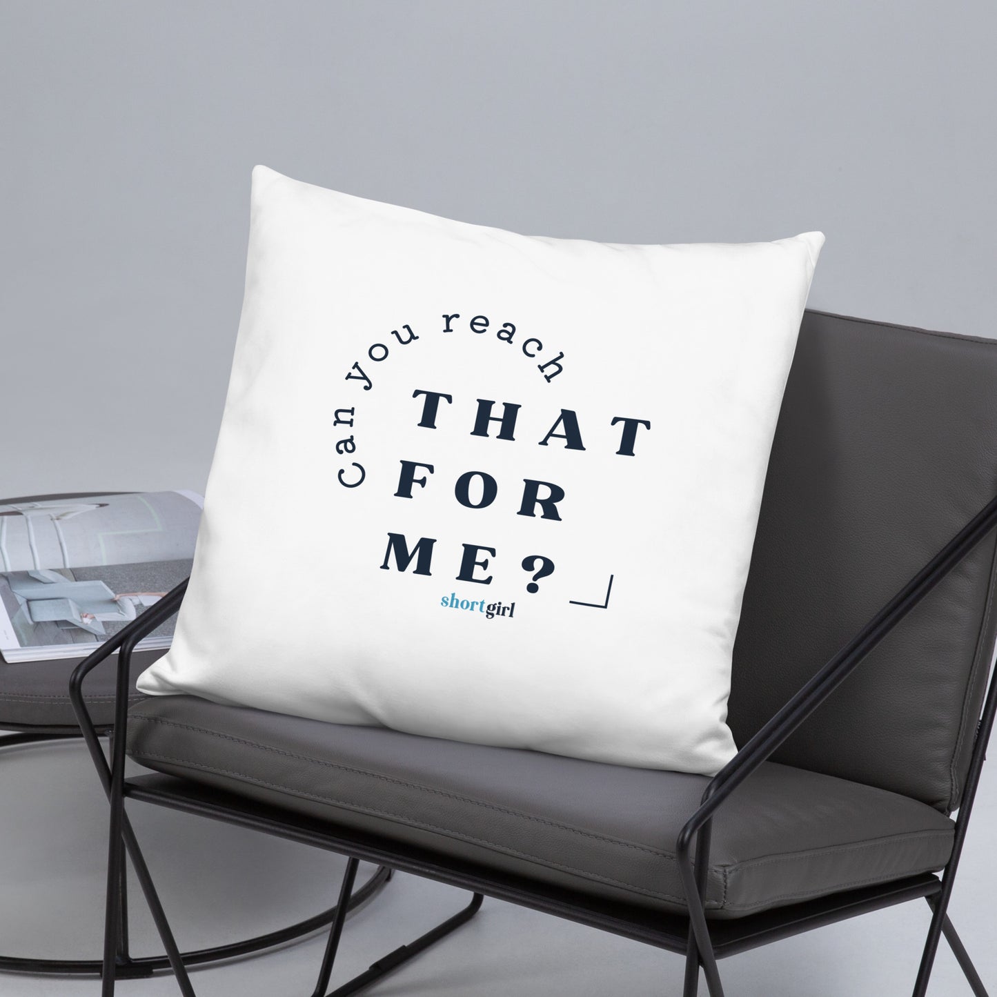 Basic Pillow - Can you reach that for me?